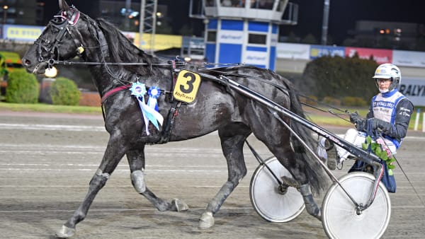 Foto: MALIN ALBINSSON / TR BILD