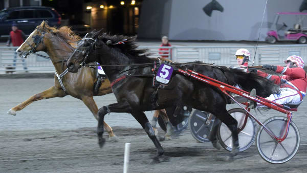 Foto: MARTIN LANGELS/ALN