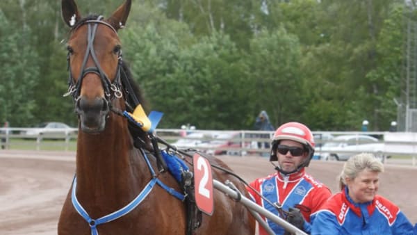 Foto: MICKE GUSTAFSSON/ALN