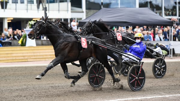 Foto: MALIN ALBINSSON / TR BILD
