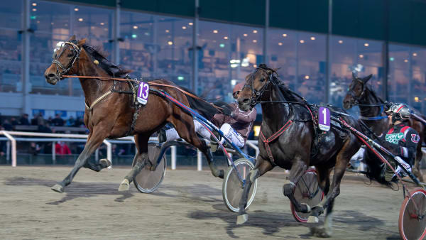 Foto: MIKAEL ROSENQUIST / TR BILD