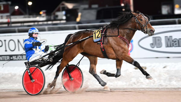 Foto: MALIN ALBINSSON / TR BILD