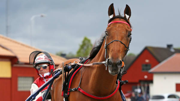 Foto: Matilda Öhrman/TR Bild