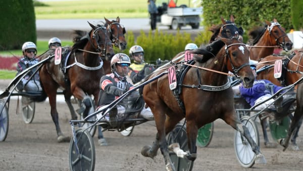 Foto: MARIA HOLMÉN / TR BILD