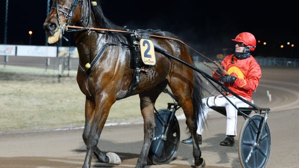 Foto: MALIN ALBINSSON/TR BILD