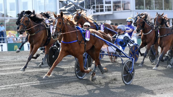 Foto: MALIN ALBINSSON / TR BILD