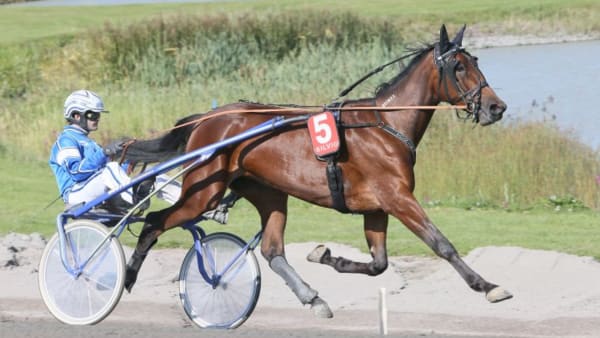 Foto: JEANNIE KARLSSON