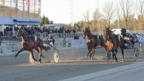Foto: LARS JAKOBSSON / TR BILD
