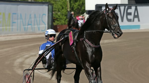 Foto: MATILDA ÖHRMAN / TR BILD