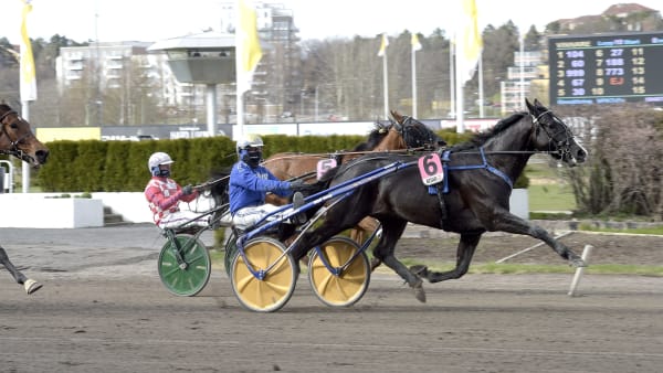 Foto: LARS JAKOBSSON / TR BILD