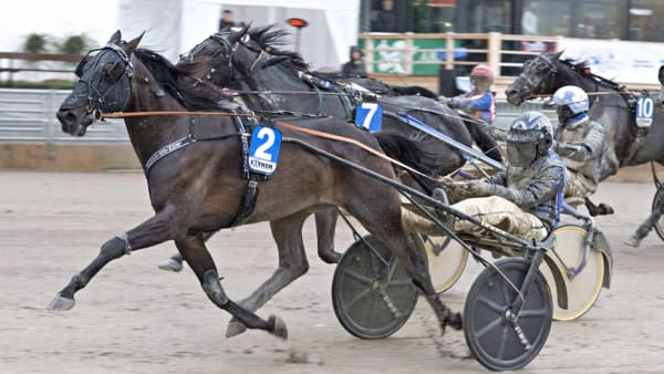 Foto: TOMMY ANDERSSON/ALN