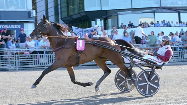 Foto: LARS JAKOBSSON / TR BILD