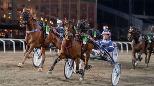 Foto: MIKAEL ROSENQUIST / TR BILD