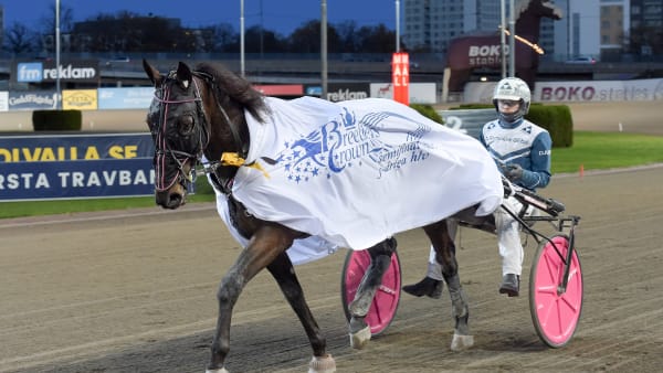 Foto: LARS JAKOBSSON / TR BILD