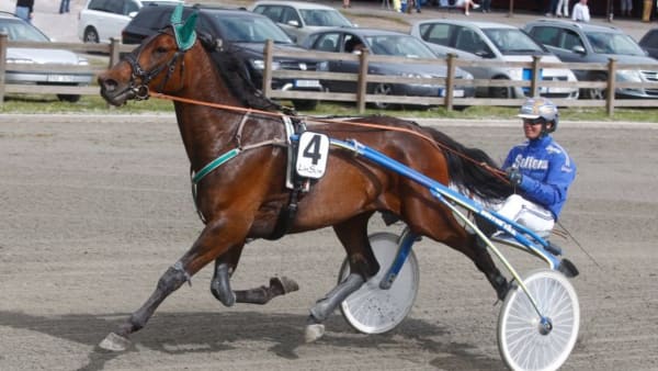 Foto: LENNART KIHLMAN/ALN