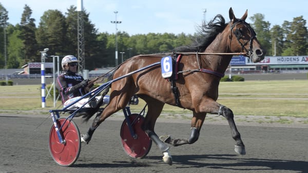 Foto: LARS JAKOBSSON / TR BILD