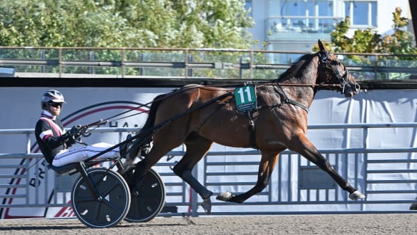 Foto: LARS JAKOBSSON / TR BILD