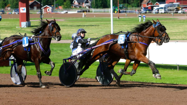 Foto: Micke Gustafsson/ALN