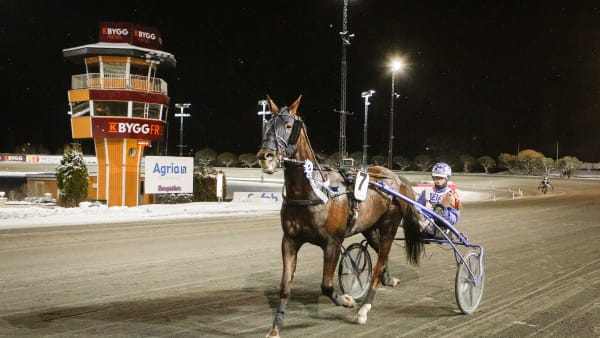 Foto: DAVID SCHREINER / TR BILD