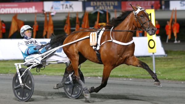 Foto: Maria Holmén/TR Bild