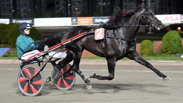 Foto: MALIN ALBINSSON / TR BILD