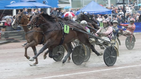 Foto: Tommy Andersson/ALN