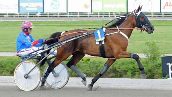 Foto: CLAES KÄRRSTRAND/TR BILD