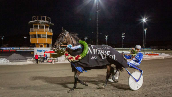 Foto: DAVID SCHREINER / TR BILD