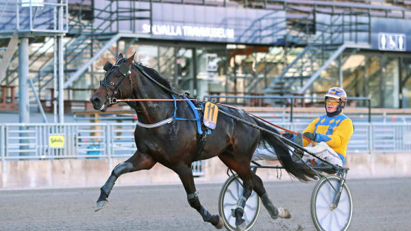 Foto: MARIA HOLMÉN / TR BILD