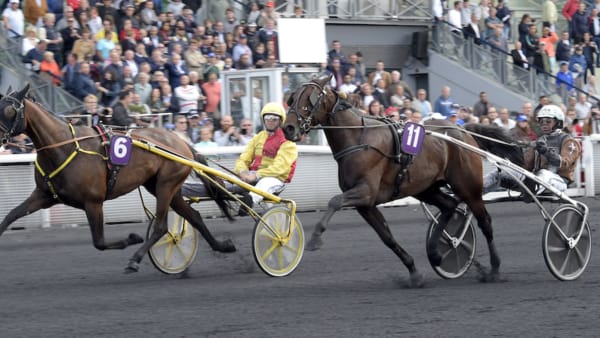 Foto: Lars Jakobsson/TR Bild