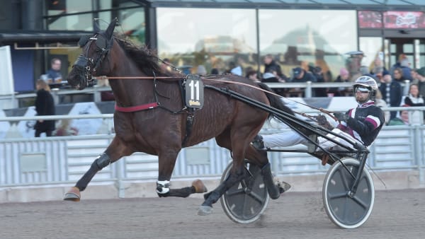 Foto: LARS JAKOBSSON / TR BILD