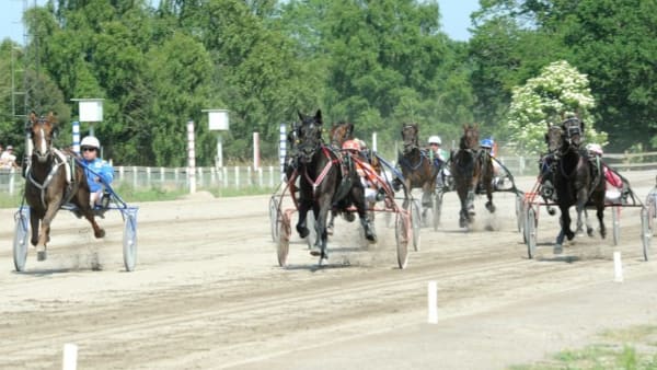 Foto: JÖRGEN TUFVESSON/ALN