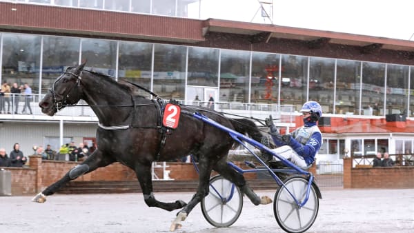 Foto: MARIA HOLMÉN / TR BILD