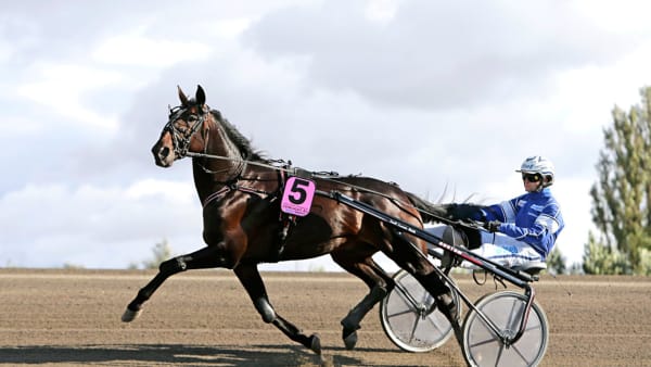 Foto: MARIA HOLMÉN/TR BILD