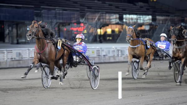 Foto: LARS JAKOBSSON / TR BILD