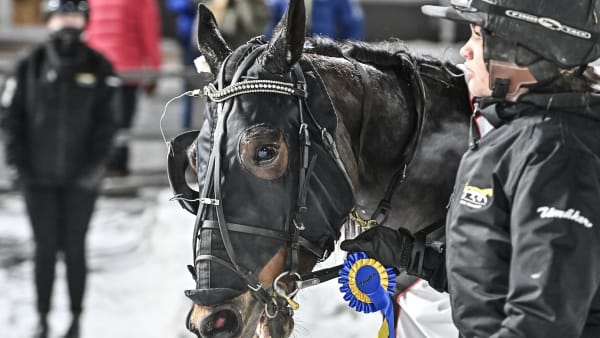 Foto: JENNY REHNMAN / TR BILD