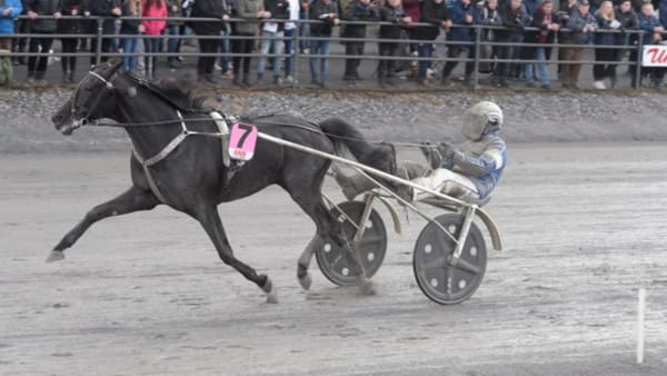 Foto: LEIF NORBERG/ALN