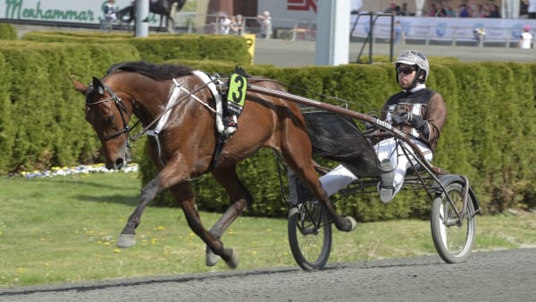 Foto: LARS JAKOBSSON/KANAL 75