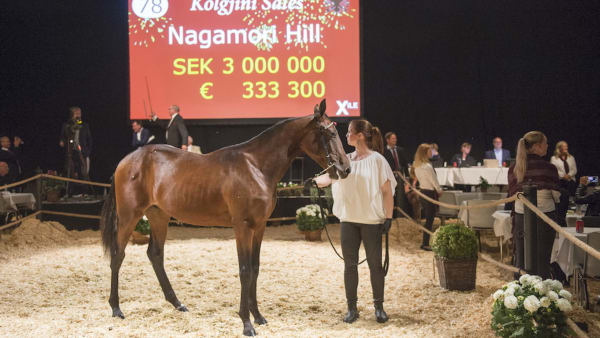 Foto: Mikael Rosenquist/MiRo Media