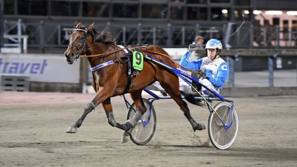 Foto: MALIN ALBINSSON / TR BILD