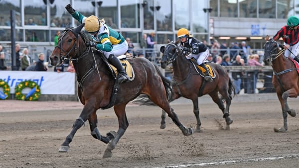 Foto: MALIN ALBINSSON / TR BILD