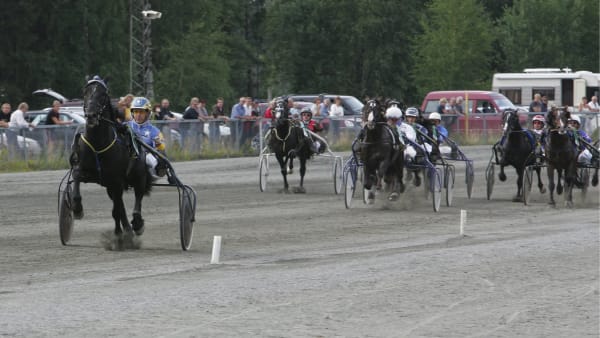 När textrader ska fylla tomrummet räcker orden inte till · Senaste  nyheterna om trav · Travronden