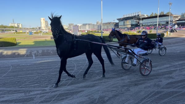 Foto: Patrick Sjöö