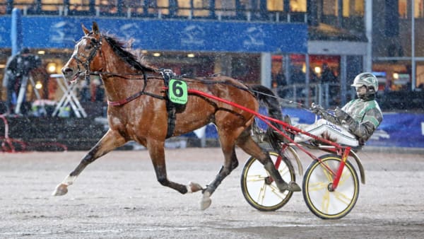 Foto: Mia Törnberg/Travronden