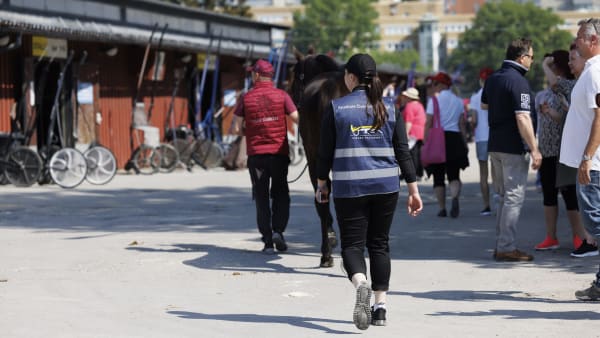 Foto: LENA EMMOTH / TR BILD