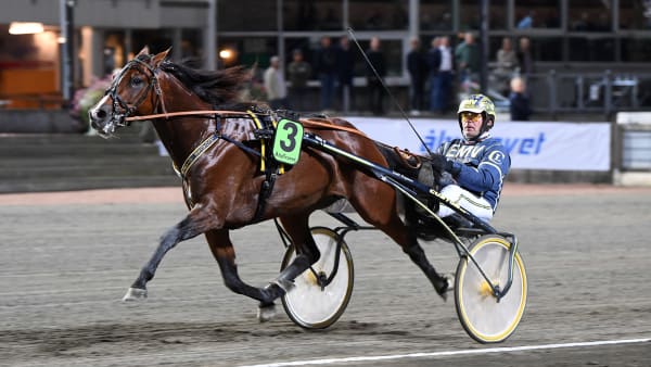 Foto: MALIN ALBINSSON / TR BILD