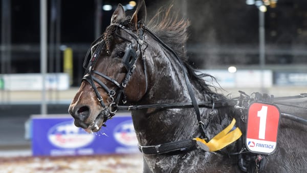 Foto: LARS JAKOBSSON / TR BILD