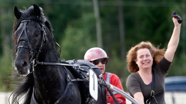 Foto: MICKE GUSTAFSSON/ALN