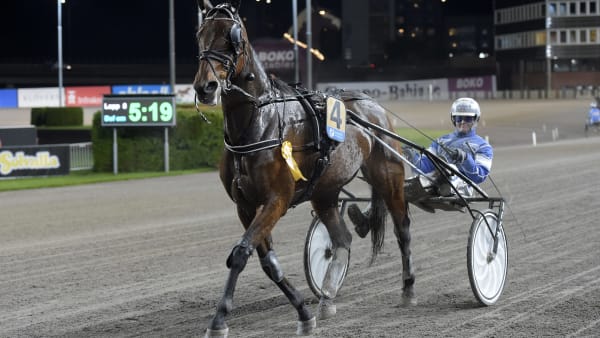 Foto: LARS JAKOBSSON / TR BILD