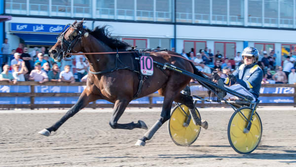 Foto: MIKAEL ROSENQUIST / TR BILD